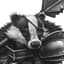 The Badger