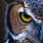 TheAngryOwl_