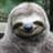 Sloth