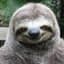 Sloth