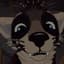 Garbage Mammal The Raccoon