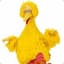 BigBird