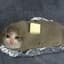 SadPotato69
