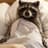 SleepyRaccoon
