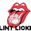 LINT LICKER