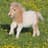 Pony