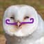 OwlWithMustache