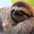ZoomTheSloth