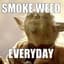 Yoda sheesh