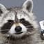 ARaccoon