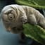 Mr. Tardigrade