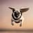PhlyingPug
