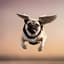 PhlyingPug