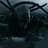 Xenomorphs
