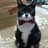 TuxedoCat