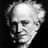 ARTHUR SCHOPENHAUER