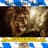 Bavarian*Lion