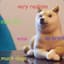 DOGE!!!