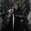ned_stark38