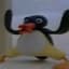 Pingu