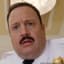 paul blart