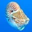 NautilusShell