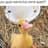 DuckDoinQuack