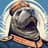 ✠Walrus✠