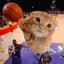 ballincat