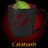 Calabash