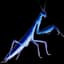 BlueMantis