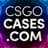 :) cs2cases.pro