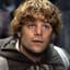 BraveSamwise