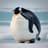 fat penguin