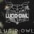 LucidOwl