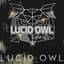 LucidOwl