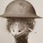 Emu War Flashbacks