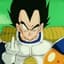 Vegeta.NSG
