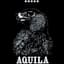 Aquila