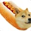THE HOT DOGE