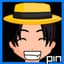 Pin