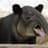 tapir