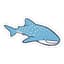 whalesharkwizard