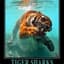 TigerShark