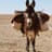 Afgan Donkey
