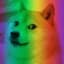 RainbowDoge27