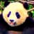 BassicallyPanda