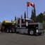 Peterbilt379