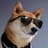 CoolDoggo