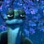 MasterOogway